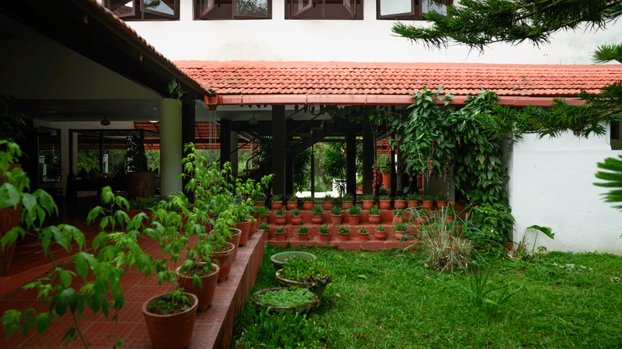 A brick-bordered lawn area next to a building, lined with multiple potted plants, a tiled pathway, and glass windows at Kadkani River Resort, Coorg.