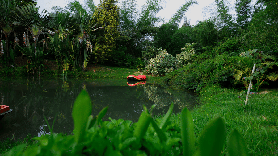 A small red pedal boat floating on a calm green pond surrounded by grassy banks, tall bamboo trees, and tropical plants at Kadkani River Resort, Coorg.