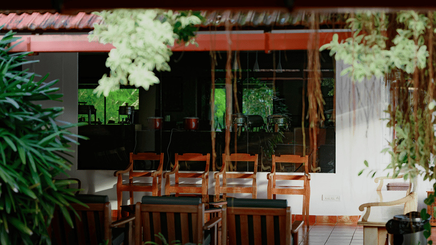 A covered patio with a row of 4 wooden chairs, 3 wooden armchairs with dark cushions, hanging tree roots, potted plants, and glass windows at Kadkani River Resort, Coorg.