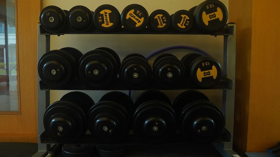 Dumbbells of various weights arranged on a three-column shelf