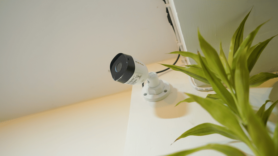 White CP Plus CCTV security camera mounted on a wall corner beside a green plant, with cabling running along the ceiling edge