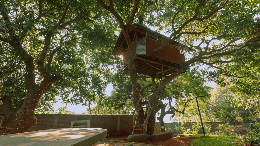 Villa Wuwei in Mango Hill Auroville, Pondicherry featuring a structure built on a tree stands above ground with a platform below and trees surround the area.