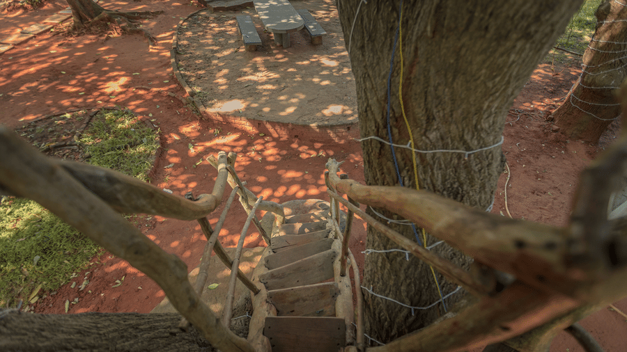 A treehouse in Villa Wuwei at Mango Hill Auroville, Pondicherry featuring a platform with a rope ladder and is surrounded by thick tree branches.
