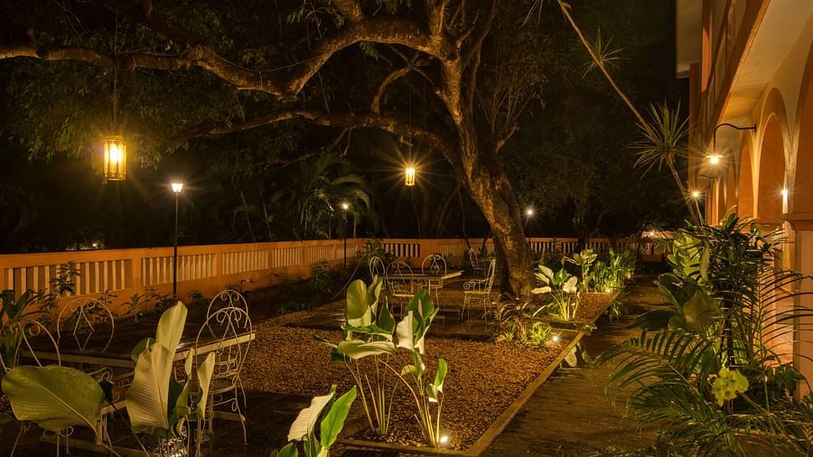 Dinning space during night time surrounded by plants and dim lights