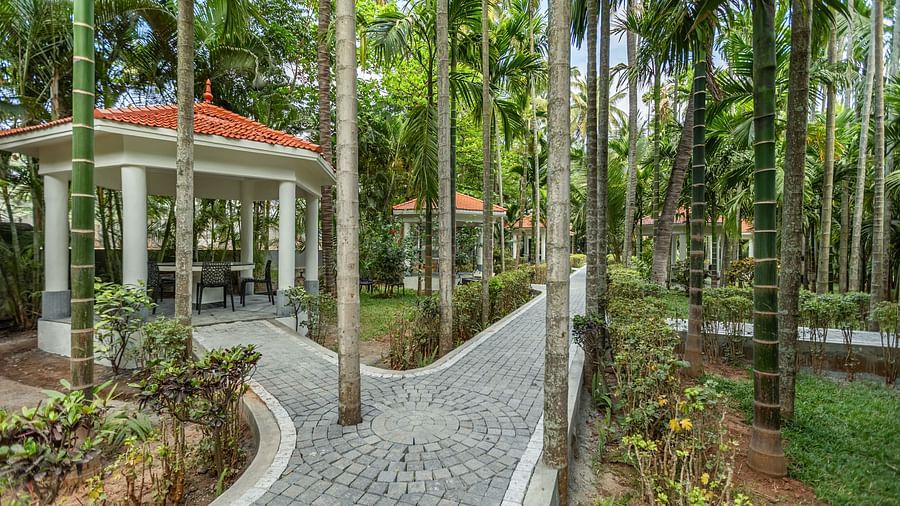 A white gazebo with an orange roof and a paved pathway winding through palm trees and greenery - Mango Hill Resort, Coimbatore
