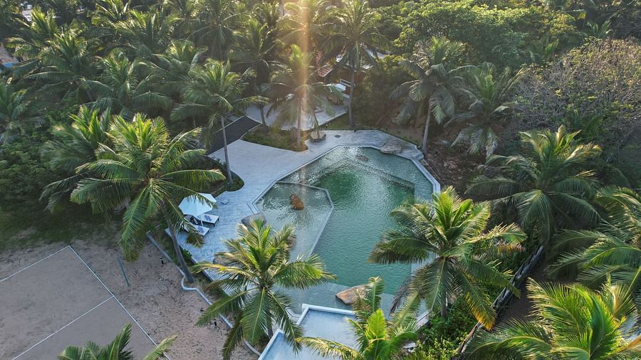 Aerial view of a resort swimming pool surrounded by lush palm trees | Mango Hill Shallow Beach Resort ECR