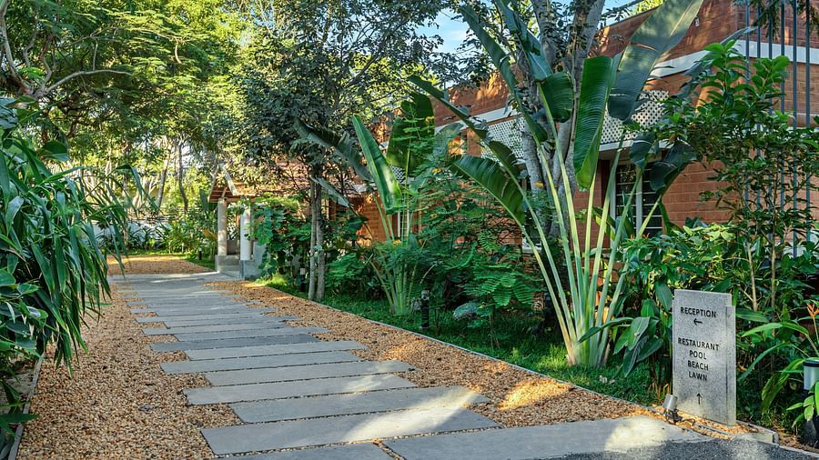 Path leading through lush greenery at a tropical resort | Mango Hill Shallow Beach Resort ECR