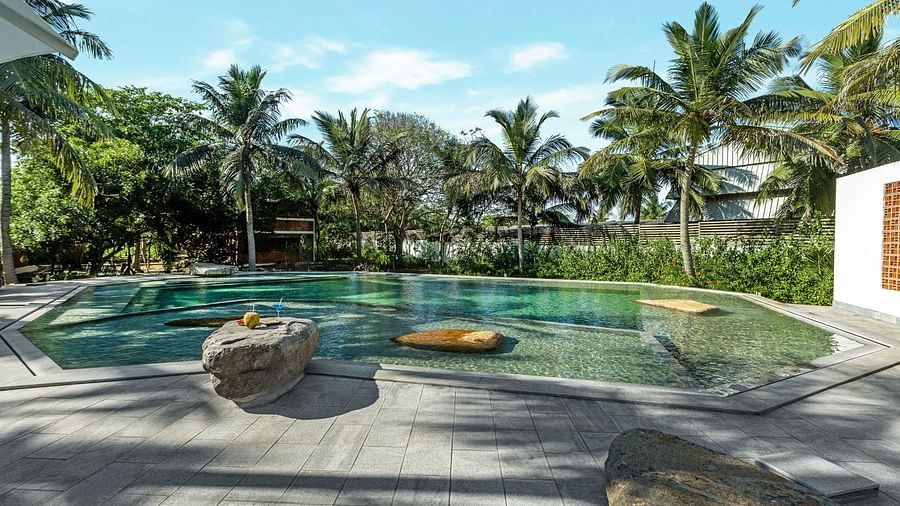  Resort swimming pool with lounge chairs, palm trees, and clear blue water | Mango Hill Shallow Beach Resort ECR