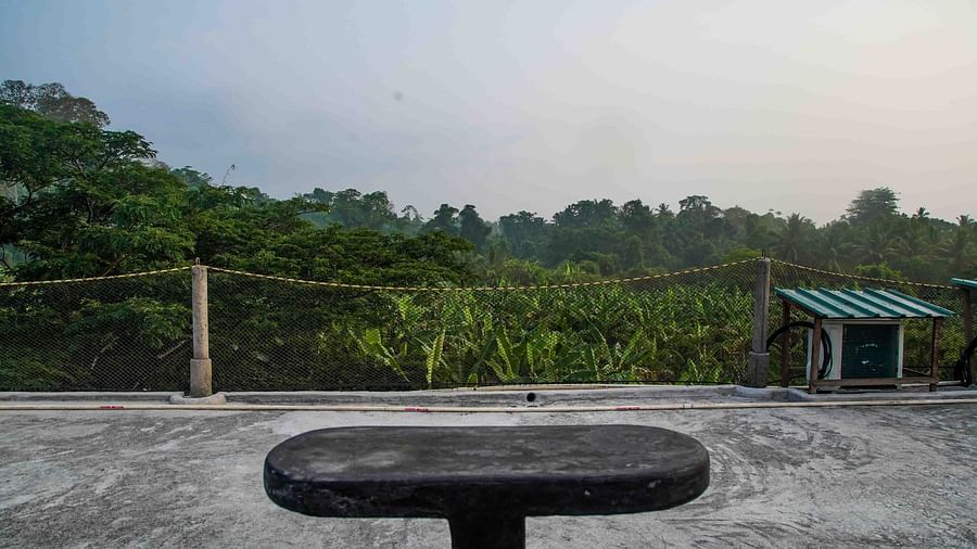 Serene landscape with a wooden bench overlooking a vast expanse of green fields - Matsya Island Retreat by Island Quest.
