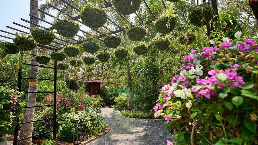A charming rod stand adorned with hanging plants and surrounded by vibrant flowers creates a delightful green corner at Mayfair Manor, Alibag