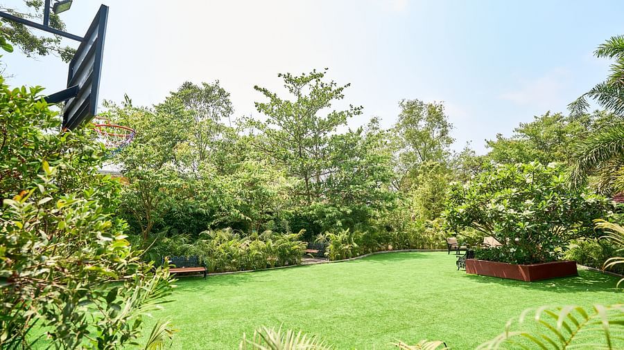 Mayfair Manor, Alibag, features a lush lawn with vibrant greenery, towering trees, and a basketball net on the side for added fun and relaxation