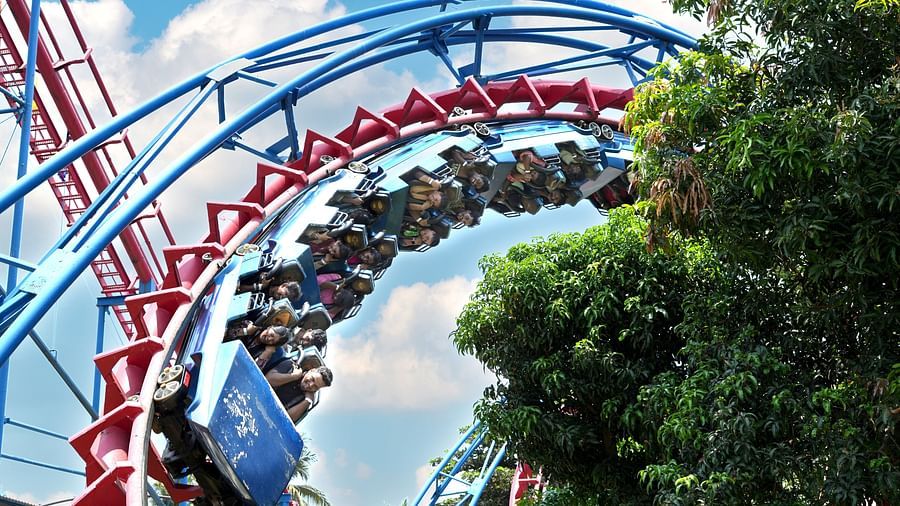 Roller coaster amusement park ride