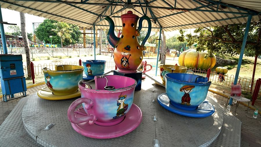 Tea cup ride amusement park 