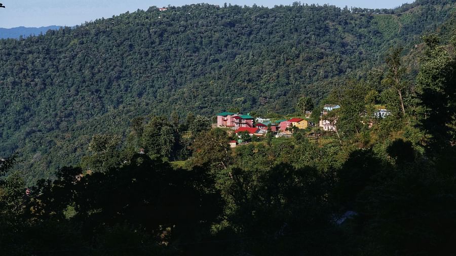 a zoomed out view of Neer Ganga Resorts engulfed by the trees on top of a mountain