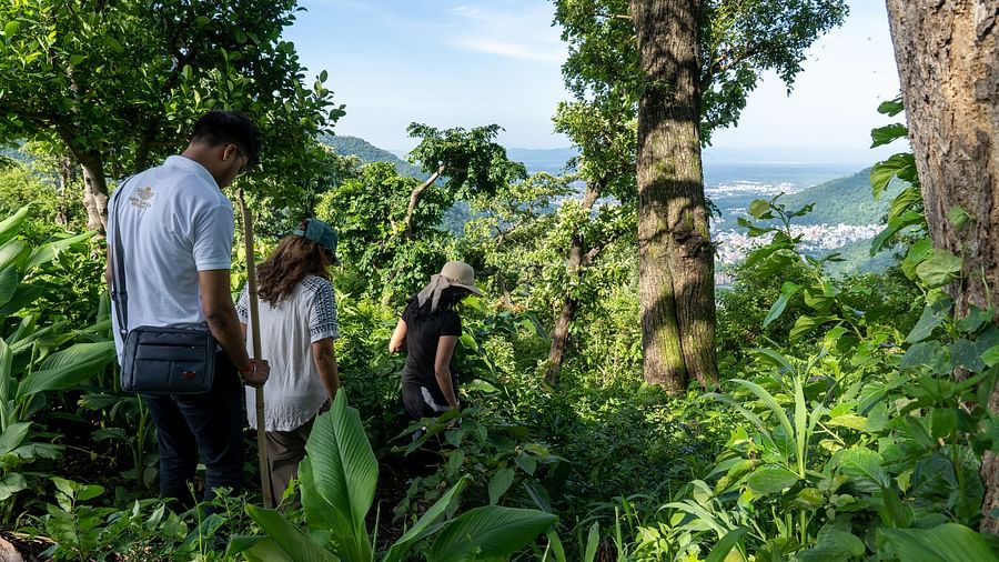 a group of people walking amidst a lush green area - Neer Ganga Resorts
