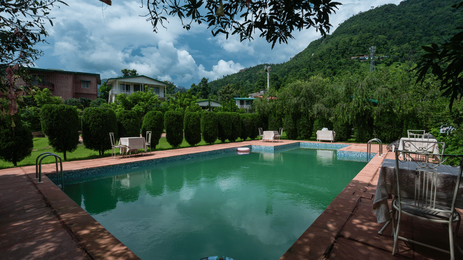A swimming pool with plants and trees surrounding it.
