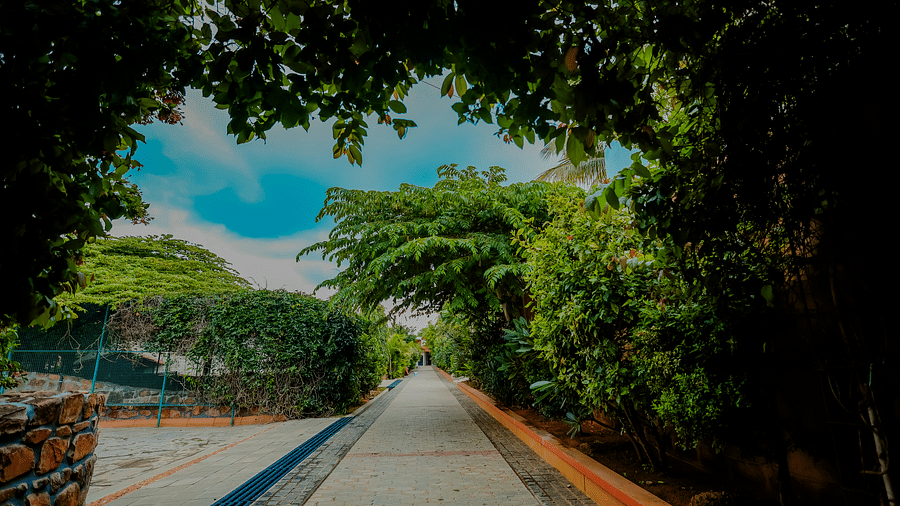 A pathway lined with trees and foliage at Nirantara Resort & Spa, creating a natural tunnel.