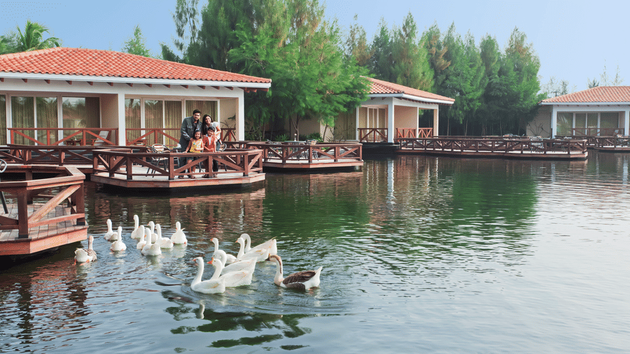 A family watches a group of swans swimming in a lake from the deck of the Bermuda villa at OCEAN SPRAY resort in Pondicherry.