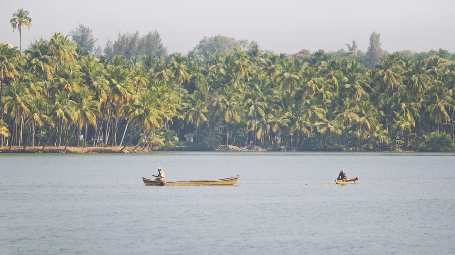 Two people in a wooden boat on still water with dense palm trees in the background at Paradise Lagoon Resort, Udupi.