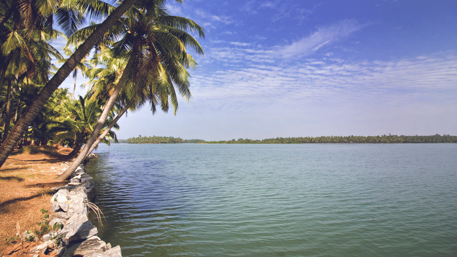 Palm-lined coastline with stone edging along calm water and a clear blue sky at Paradise Lagoon Resort, Udupi.