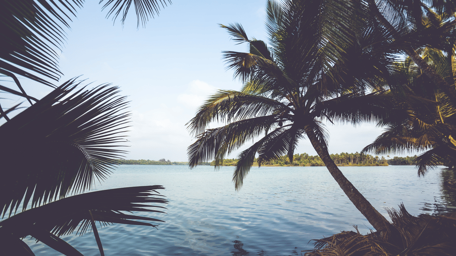 View of the water through palm trees, with the sun reflecting on the surface at Paradise Lagoon Resort, Udupi.