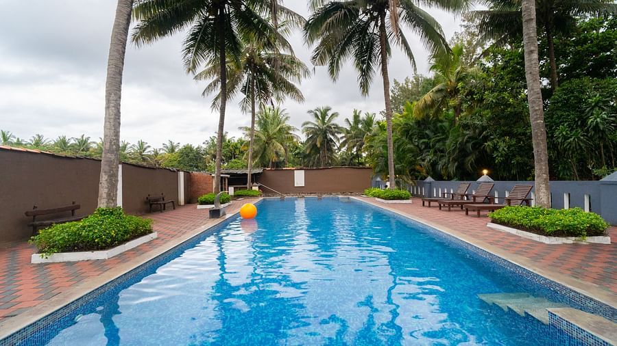 Image of swimming pool with trees in front of it at Parampara Resort & Spa, Kushalnagar.