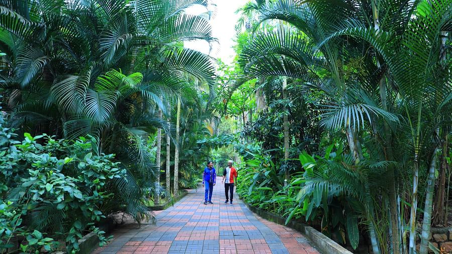 Image of two people walking  on a foot path with trees on the side at Parampara Resort & Spa, Kushalnagar.
