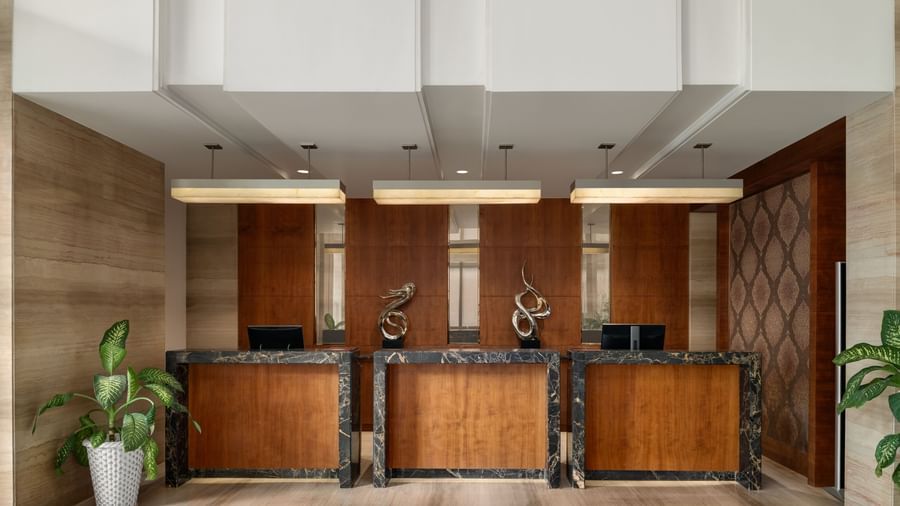 Front Desk - 1623230
