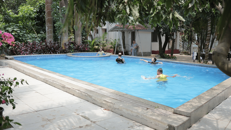 People enjoying a swim in a clear, blue outdoor swimming pool surrounded by green trees.