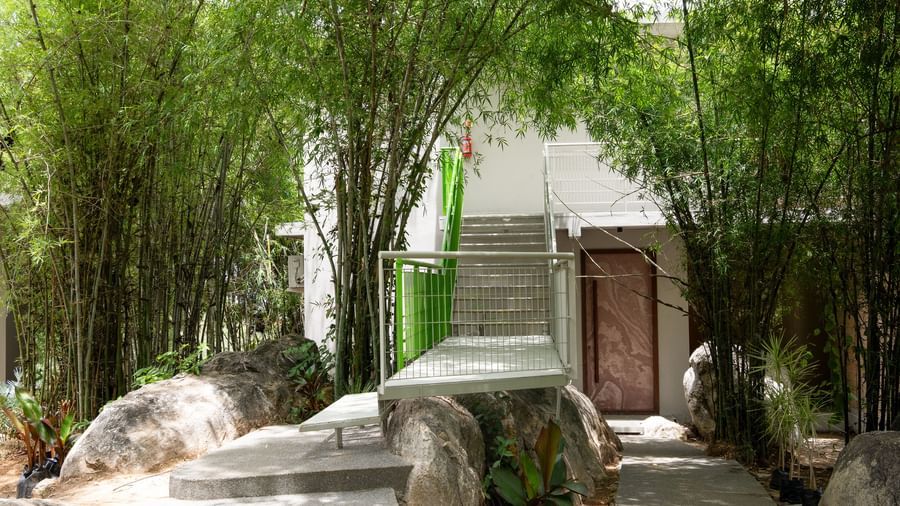An outdoor pathway winding through a lush green bamboo forest with large rocks | Gaia Studio | RD's Nature Retreat, Bangalore