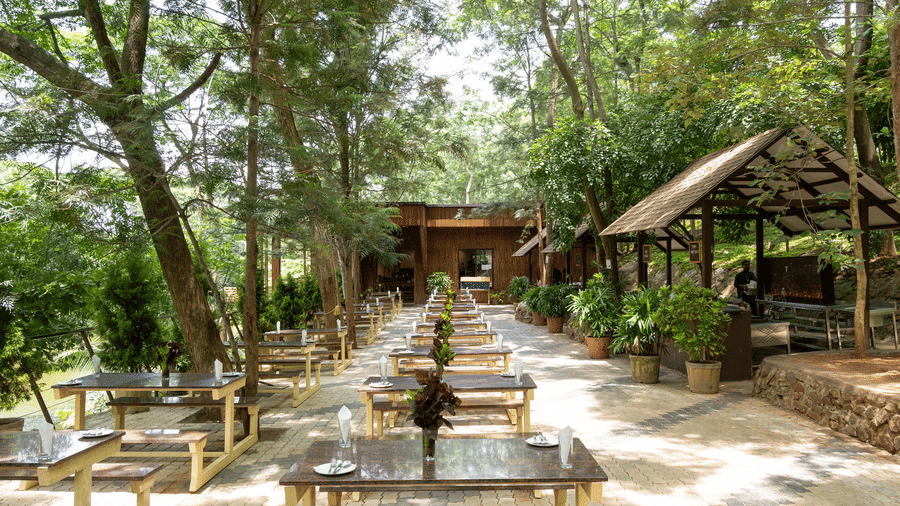 An outdoor dining area set with numerous tables and chairs arranged along a path under a canopy of trees at RD's Nature Retreat