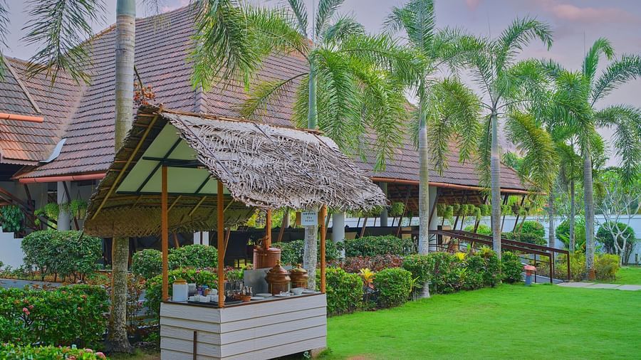 an image of an overview of the Lawn with palm trees on each sides - Rhythm Kumarakom