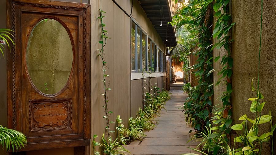 A peaceful courtyard with lush greenery and a wooden entrance.