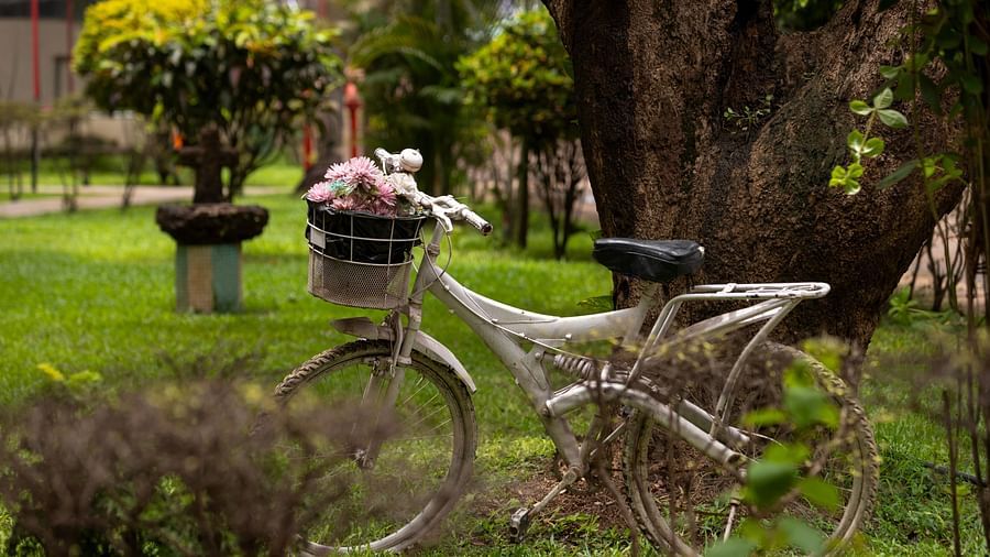 cycle