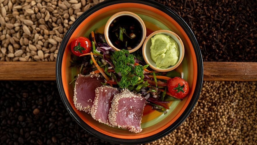 A gourmet dish featuring sliced fish with side salad and sauce, presented on a plate at Shooting Star