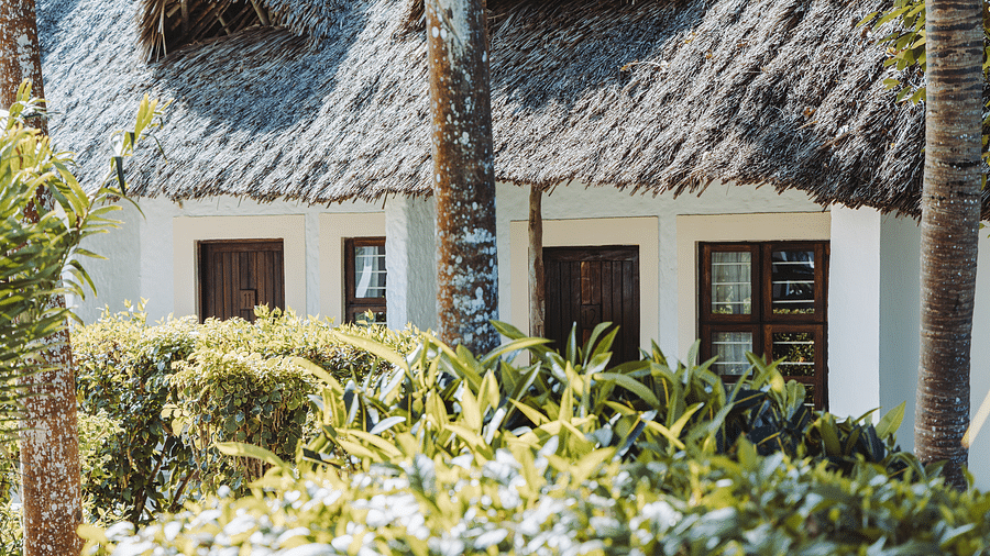 Exterior view of a building with a textured, thatched roof, white walls, and doors and windows, framed by green plants - Shooting Star Boutique Hotel.