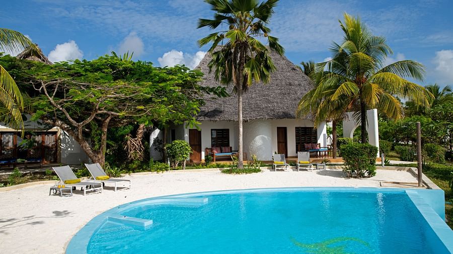 View of a swimming pool with trees and shooting star boutique hotel in the background.