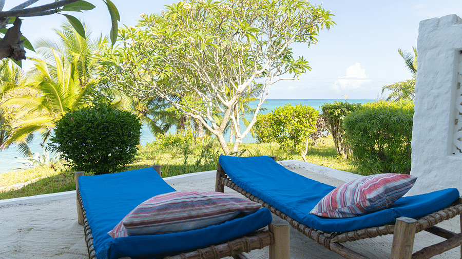 Outdoor seating area with blue sun loungers overlooking a tropical garden with vibrant foliage - Shooting Star Boutique Hotel.