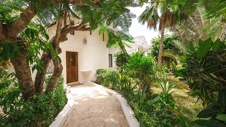 Tropical garden pathway leading to a private villa, surrounded by lush greenery - Shooting Star Boutique Hotel.