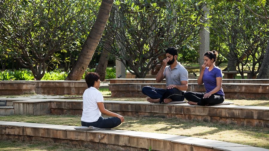 People sitting on steps outdoors, trees, performing yoga - Shreyas Retreat