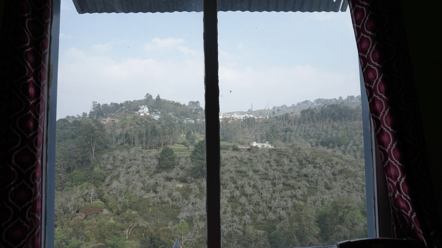 08 ROOM VIEW