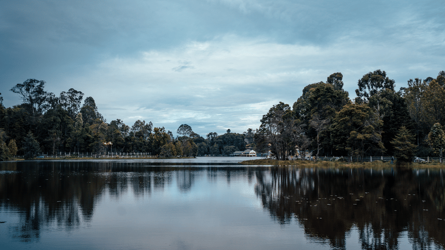 Best Shopping Places in Kodaikanal