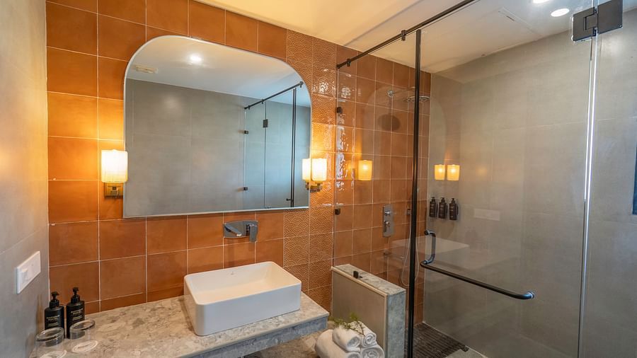 Modern bathroom with a walk-in shower and a sleek sink area with a wall-mounted mirror, separated by a glass door at The Chamomile Estate.