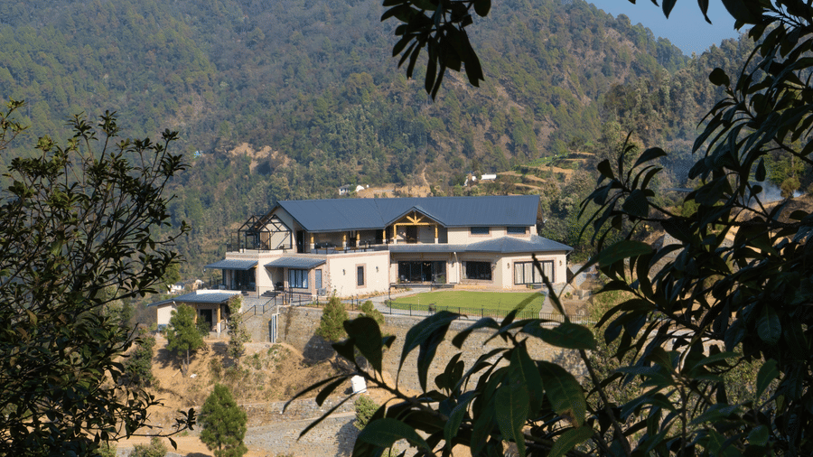 The estate buildings with grey pitched metal roofs and a lawn, set on a hillside among forest and terraced fields, framed by foliage at The Chamomile Estate.