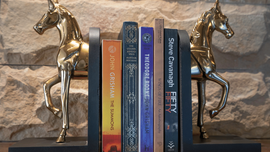 Brass horse bookends holding five novels, among them titles by John Grisham and Steve Cavanagh, on a ledge against a sandstone wall at The Chamomile Estate.