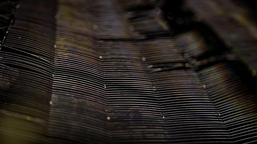 A photo of a textured surface with dark and light patterns.