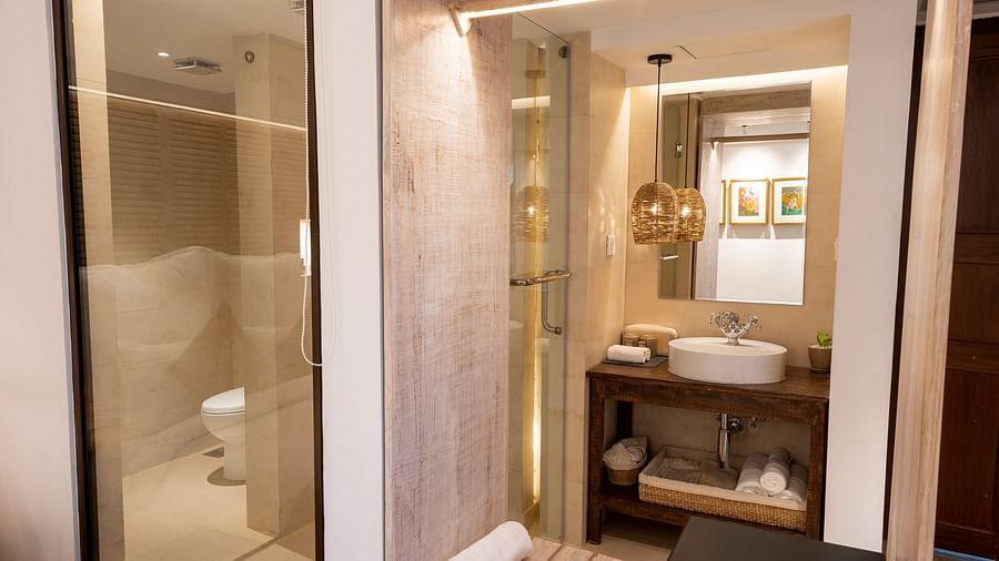 A washroom featuring the shower area and the wash area - The Nanee