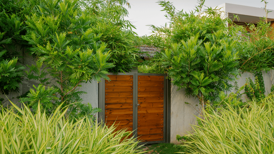 Secluded wooden gate entrance to Pearl Villa at The Shore Trishvam, Pondicherry, framed by lush bamboo and tropical greenery.