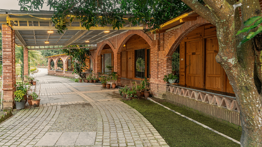 The pathway leading to the entrance of The Sylvan Retreat, Dehradun.