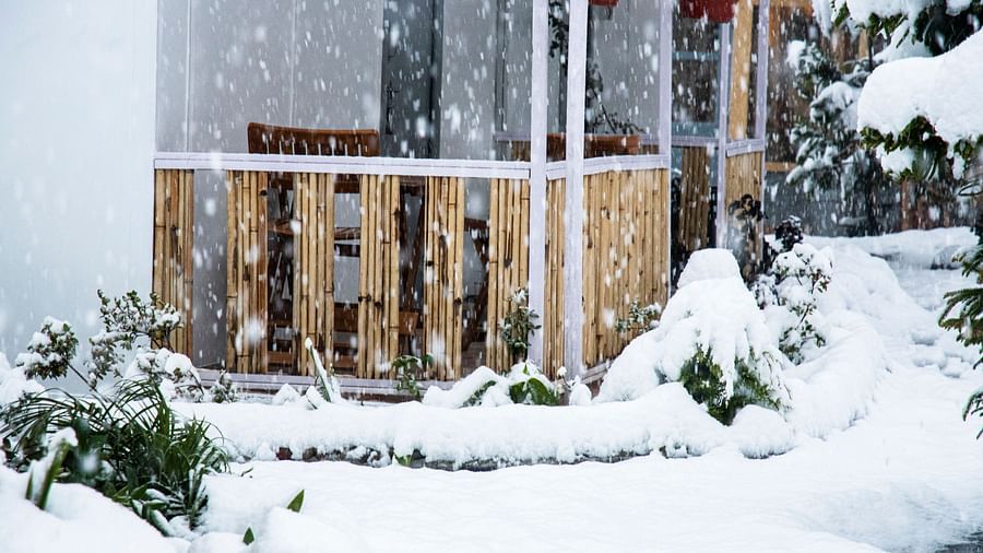a bright image of the snowfall at the tattva, joshimath